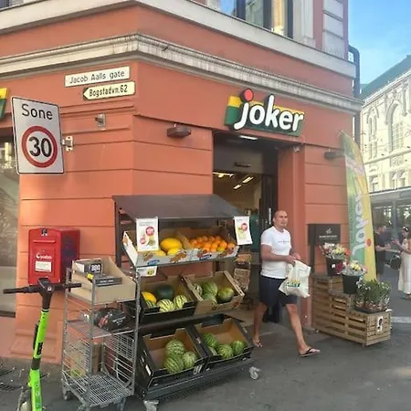 35m2 In Central Lejlighed Oslo