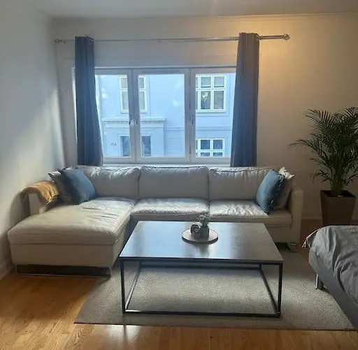 Apartmán 35m2 In Central Oslo
